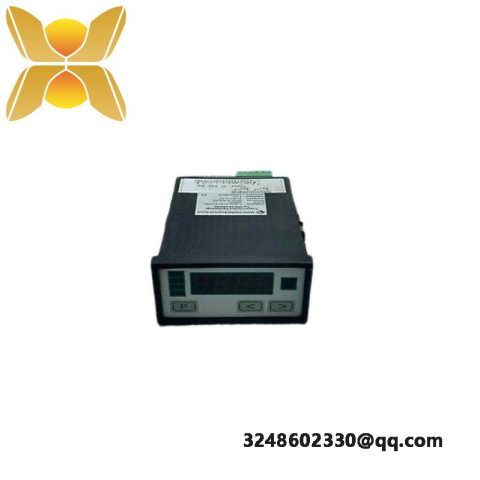 Negele Process Display DPM-GS-2GW-S Digital Display