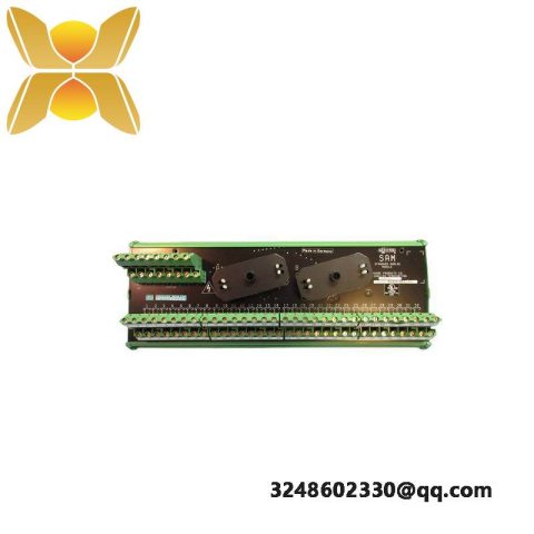 SIEMENS 16169-1-07 Analog Input Output Module
